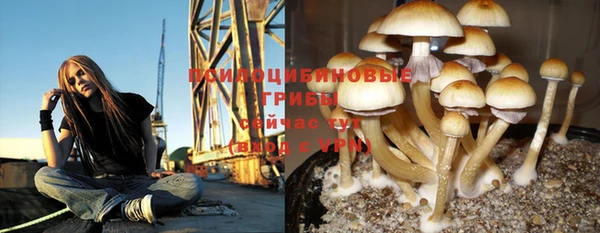 таблы Белокуриха
