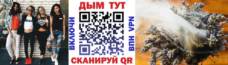 Купить закладки  Котельниково  Каннабис VHQ 